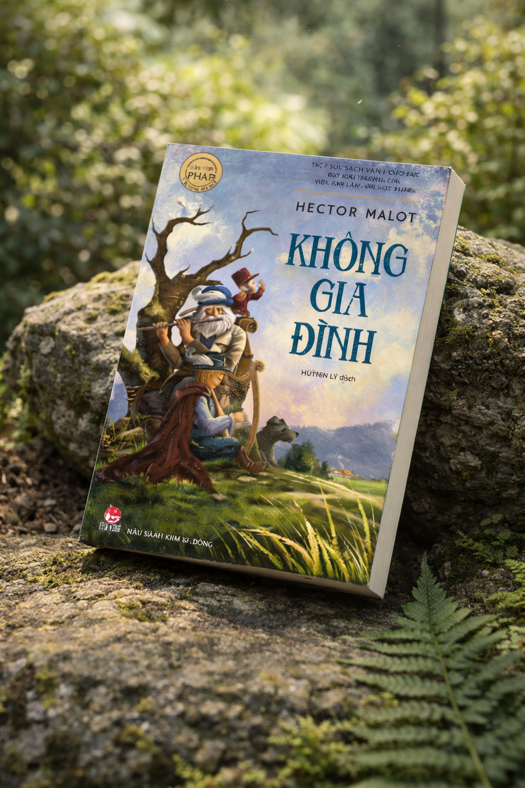 Nobody’s Boy (Không Gia Đình) – Hector Malot